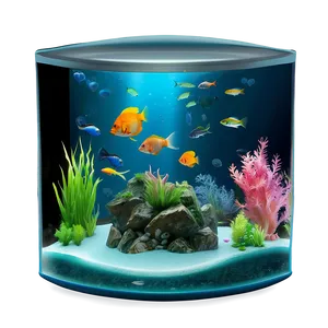 Fish Tank Scene PNG Qus94 PNG