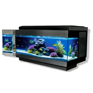 Fish Tank Setup PNG 06122024