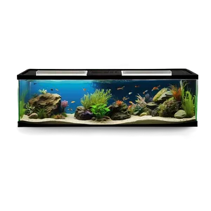 Fish Tank Setup PNG 18 PNG