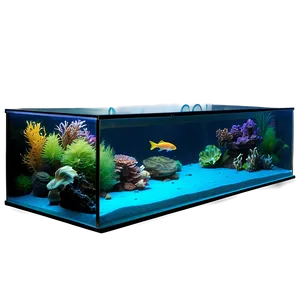 Fish Tank Side View Png Ykv54 PNG image