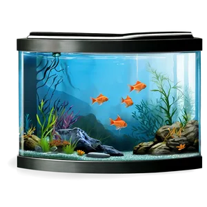 Fish Tank Silhouette PNG 06122024