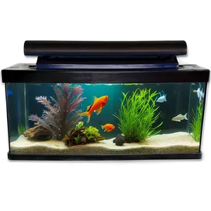 Fish Tank With Fish PNG Mbd45
