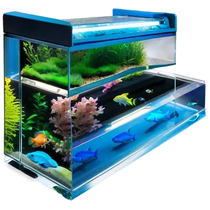 Fish Tank With Fish Png Sll PNG image