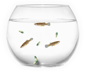 Fishand Pills Aquarium PNG