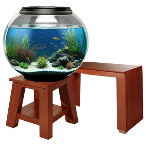 Fishbowl Aquarium Setup PNG 16 PNG