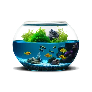 Fishbowl Aquarium Setup PNG Wde PNG