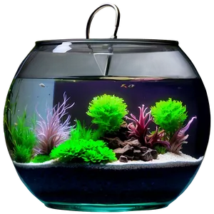 Fishbowl For Aquascaping PNG 35