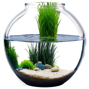 Fishbowl For Aquascaping PNG 96