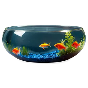 Fishbowl Isolated PNG 57