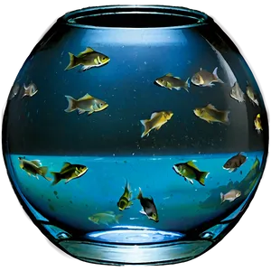 Fishbowl Isolated PNG 98