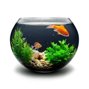 Fishbowl Isolated PNG Uhg59
