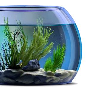 Fishbowl With Algae PNG 06212024