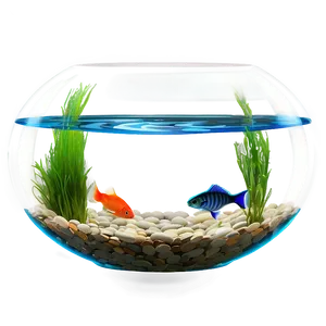 Fishbowl With Led Light PNG 25 PNG