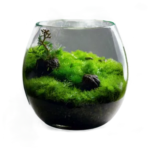 Fishbowl With Moss Balls PNG Kaa PNG