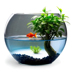 Fishbowl With Plant Png 06212024 PNG image