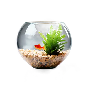 Fishbowl With Plant Png Eqj91 PNG image