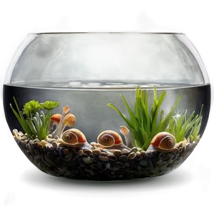 Fishbowl With Snails PNG 71