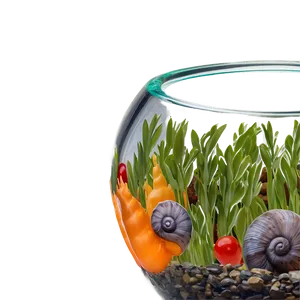 Fishbowl With Snails PNG Dgy56 PNG