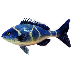 Fishes B PNG image