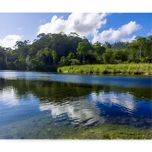 Fishing Spot Near Rural Dam PNG Mbf76 PNG