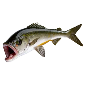Fishing With Live Bait Png 35 PNG image