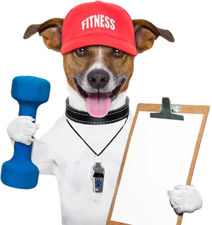 Fitness Dog Personal Trainer PNG image