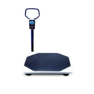 Fitness Scales PNG Wpd94 PNG