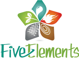 Five Elements Logo Design PNG image