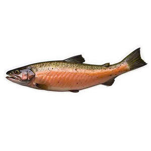Flakey Oven Baked Salmon Png 16 PNG image