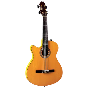 Flamenco Bass Guitar PNG 24
