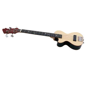 Flamenco Bass Guitar PNG 58