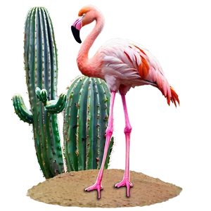 Flamingo And Cactus Desert Png 42 PNG image