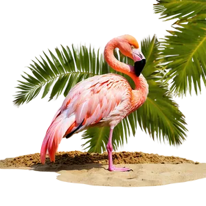 Flamingo Chilling On Beach Png 06292024 PNG image