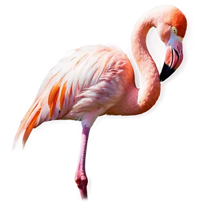 Flamingo Couple In Love PNG Gdg35 PNG