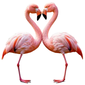 Flamingo Couple In Love PNG Wdm28 PNG