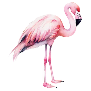 Flamingo Digital Watercolor PNG 8 PNG