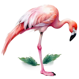 Flamingo Digital Watercolor Png Tgj PNG image