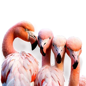 Flamingo Family Portrait Png 05062024 PNG image