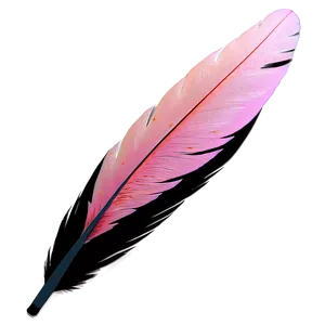 Flamingo Feather Detail Png 1 PNG image