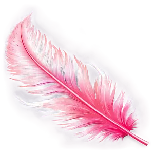 Flamingo Feather Detail PNG Gjy PNG