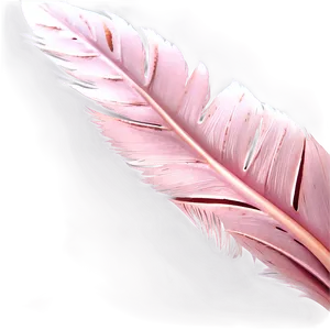 Flamingo Feather Detail PNG Iop PNG