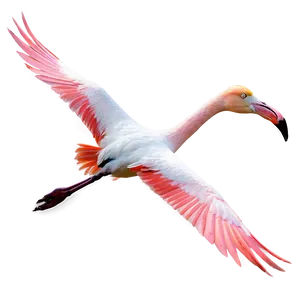 Flamingo Flock In Flight Png 05062024 PNG image