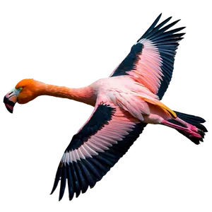 Flamingo Flock In Flight Png Ewt PNG image