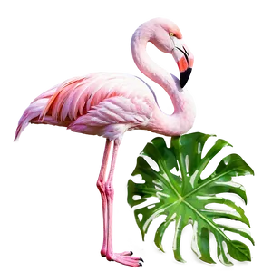 Flamingo In A Tropical Forest PNG Dyu