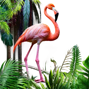 Flamingo In A Tropical Forest PNG Jcm51