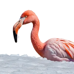 Flamingo In Snowy Landscape PNG 06292024 PNG