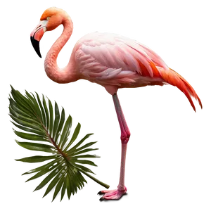 Flamingo In Tropical Landscape PNG 06272024
