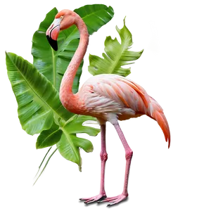 Flamingo In Tropical Rainforest PNG 68 PNG