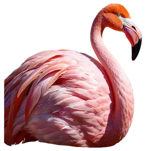Flamingo Love Heart Png Lsk17 PNG image