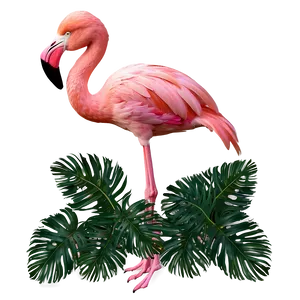 Flamingo Peeking Through Leaves PNG Kbq96 PNG